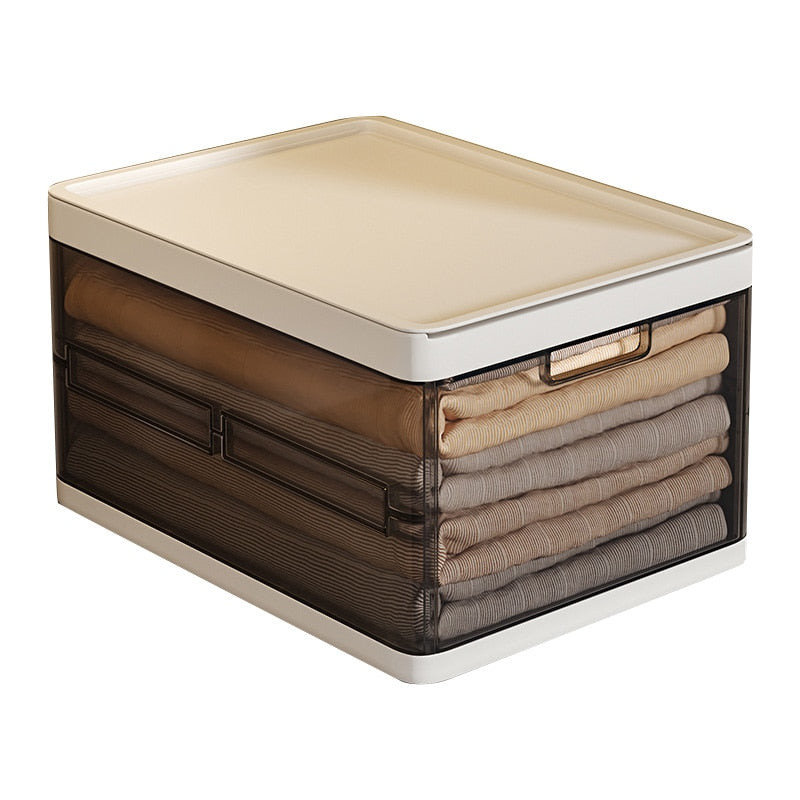 Lisslune | Effortless Easy Organizer Clothes Storage Box