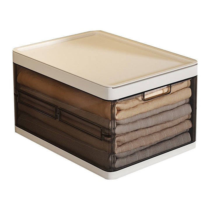 Lisslune | Effortless Easy Organizer Clothes Storage Box