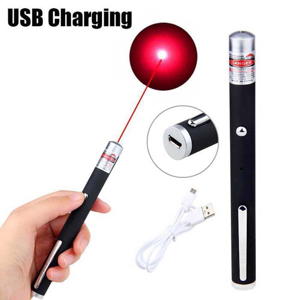 Lisslune | Multicolored USB Laser Pen: Enhance presentations and playtime with pets