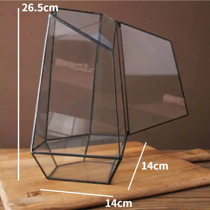 Lisslune | Modern Geometric Nature-Inspired Botanical Terrarium