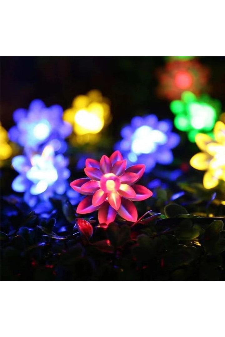 Lisslune | Solar Blossom String Lights