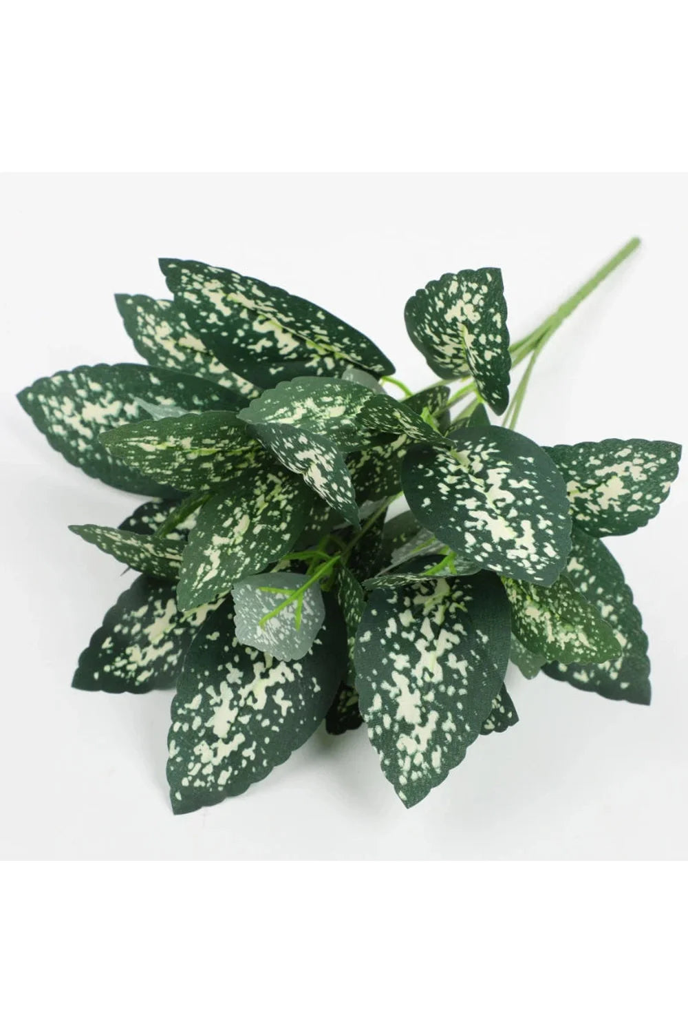 Lisslune | Tortoiseshell Artificial Plants