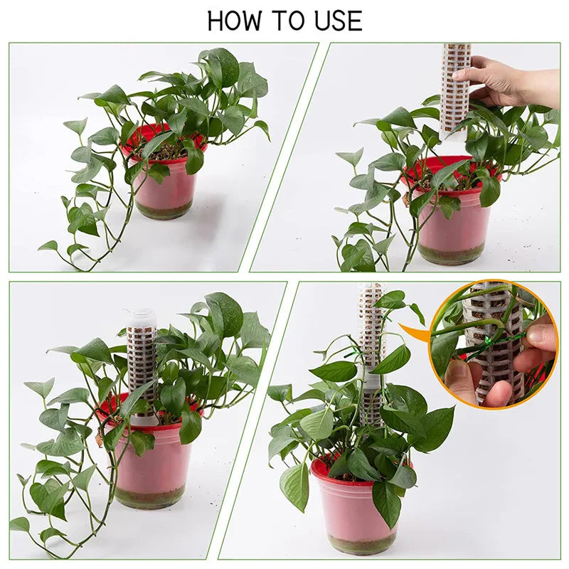 Lisslune | Pillar for climbing plants and green plants – Support columns for vertical plant cultivation