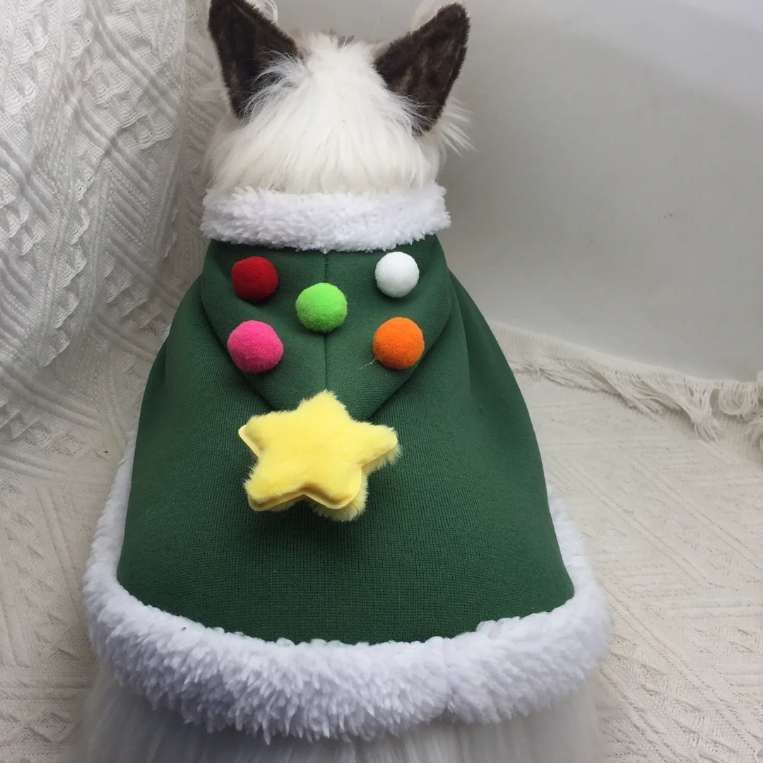 Lisslune | Cat Costume