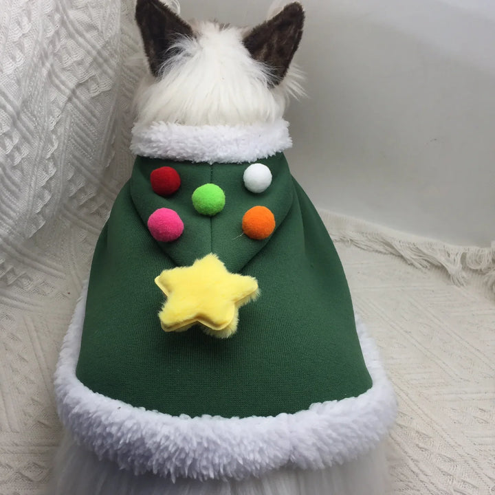 Lisslune | Cat Costume