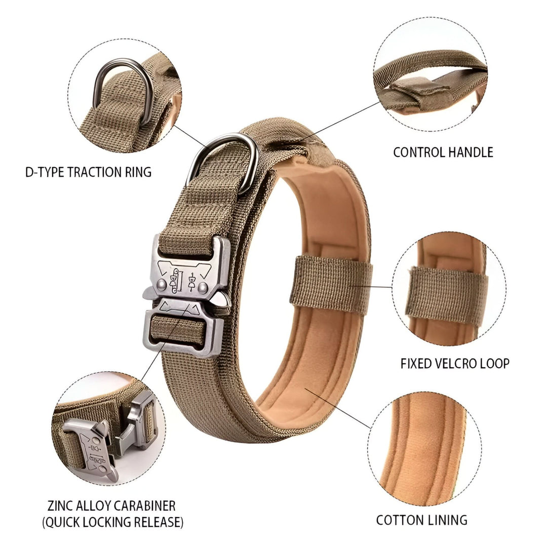 Lisslune | OutdoorHeld Dog Collar – For active dogs with endurance