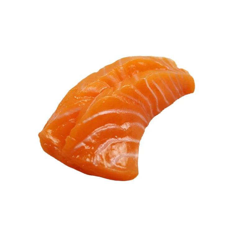 Lisslune | Life-Size Sushi Model Collection - Salmon and Tuna Models for Home Decoration and Photography