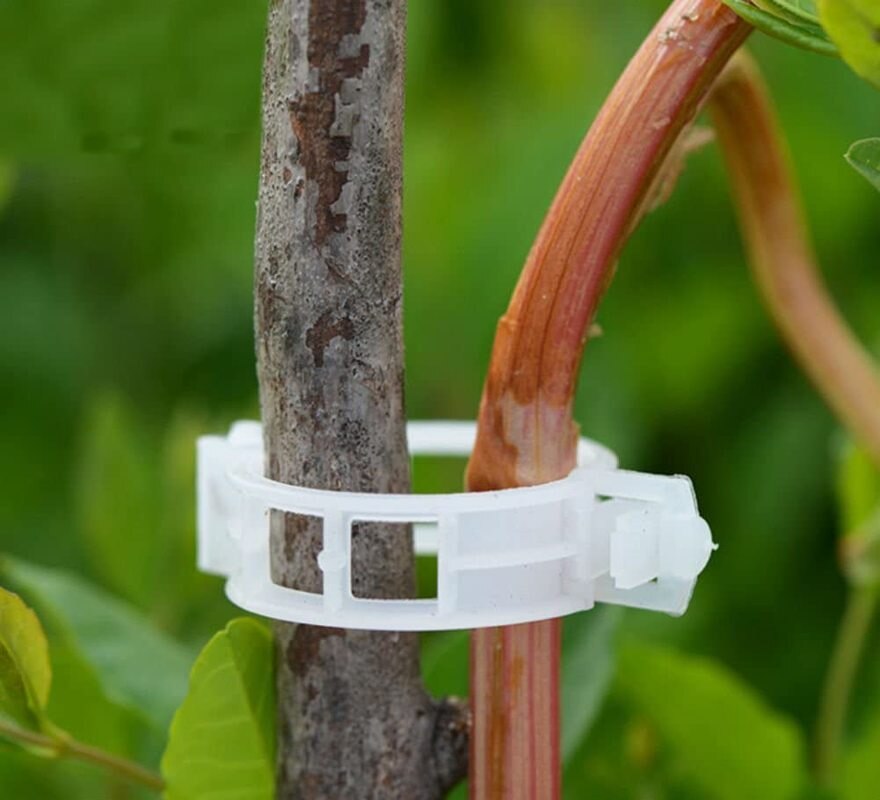 Lisslune | Green Garden Safe Plant Support Clips