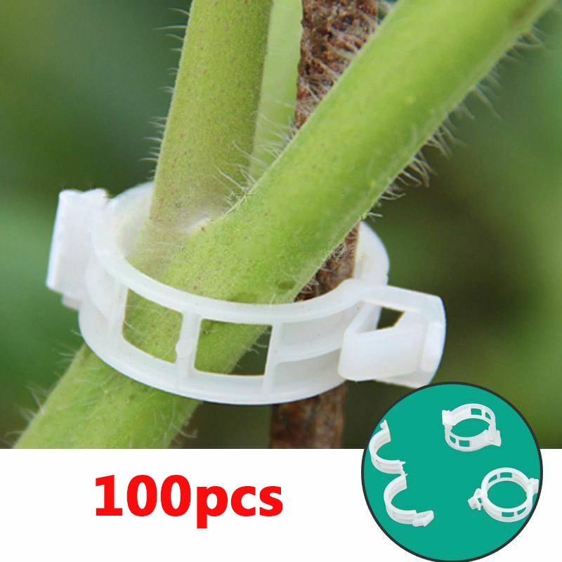 Lisslune | Green Garden Safe Plant Support Clips