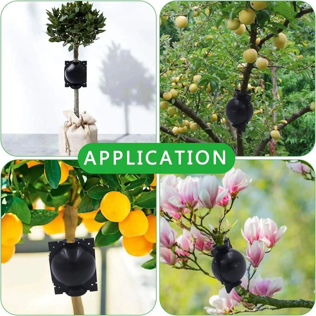 Lisslune | 10-Pack High Pressure Root Ball Kits for Easy Plant Propagation and Air Layering