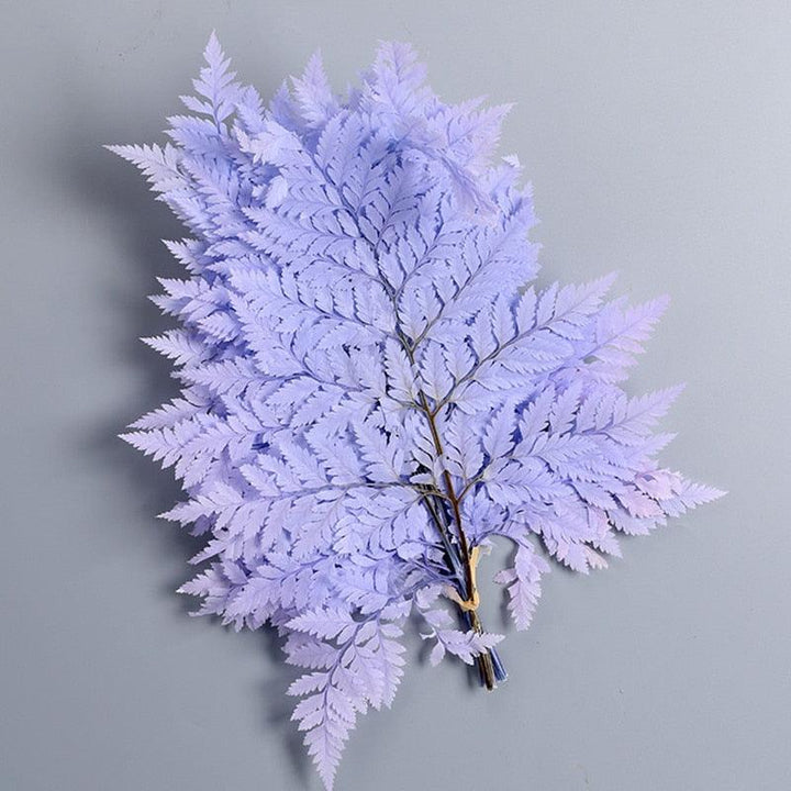 Lisslune | Alpine Serenity Fern Decor Kit: Bring the Essence of Nature Indoors