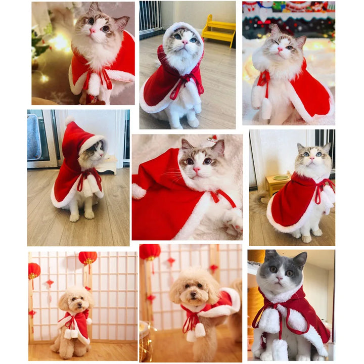 Lisslune | Cat Costume