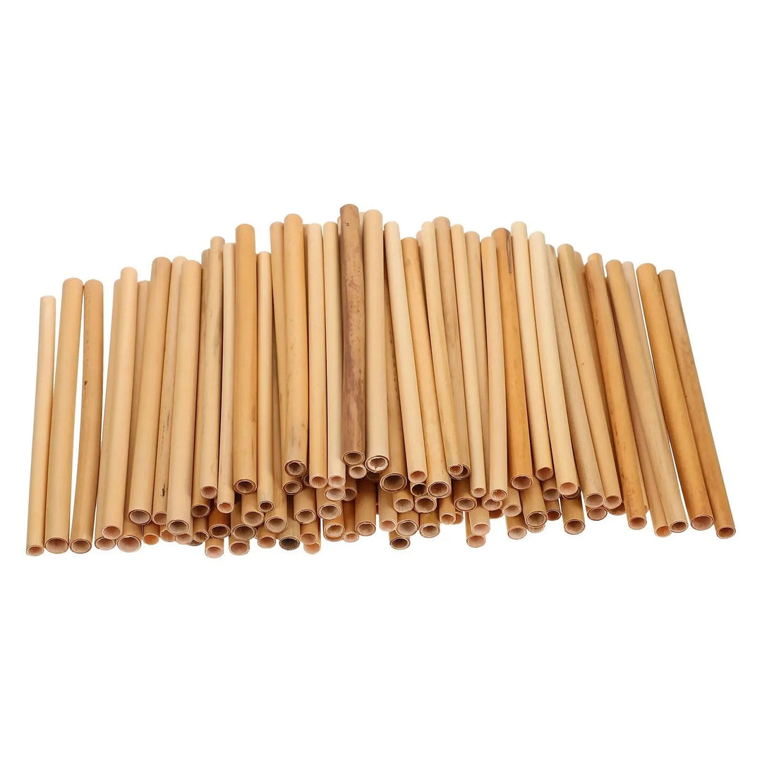 Lisslune | 100 pieces of eco-friendly bamboo bee tubes for improved pollination
