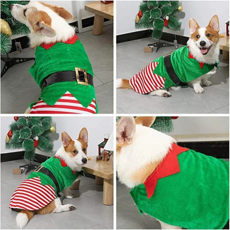 Lisslune | Dog Christmas LED Striped Vest
