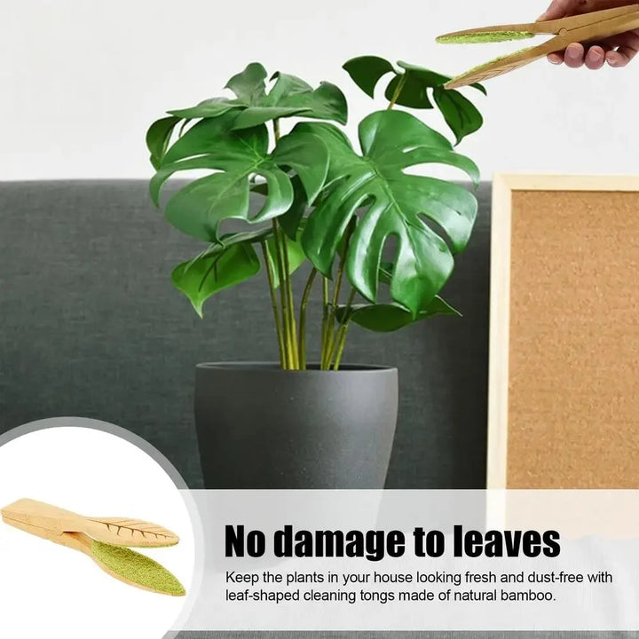 Lisslune | Plant leaf cleaning tongs made of wood for gentle leaf care