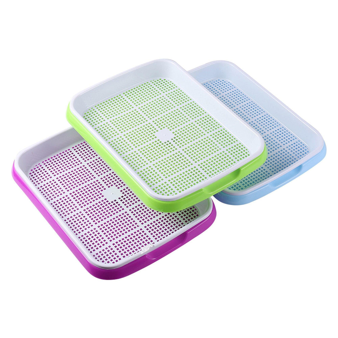 Lisslune | Effortless Fresh Products Sprout Kit for Home Nutrition