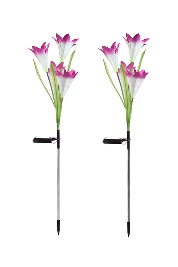 Lisslune | Solar-Violet Lawn Lights