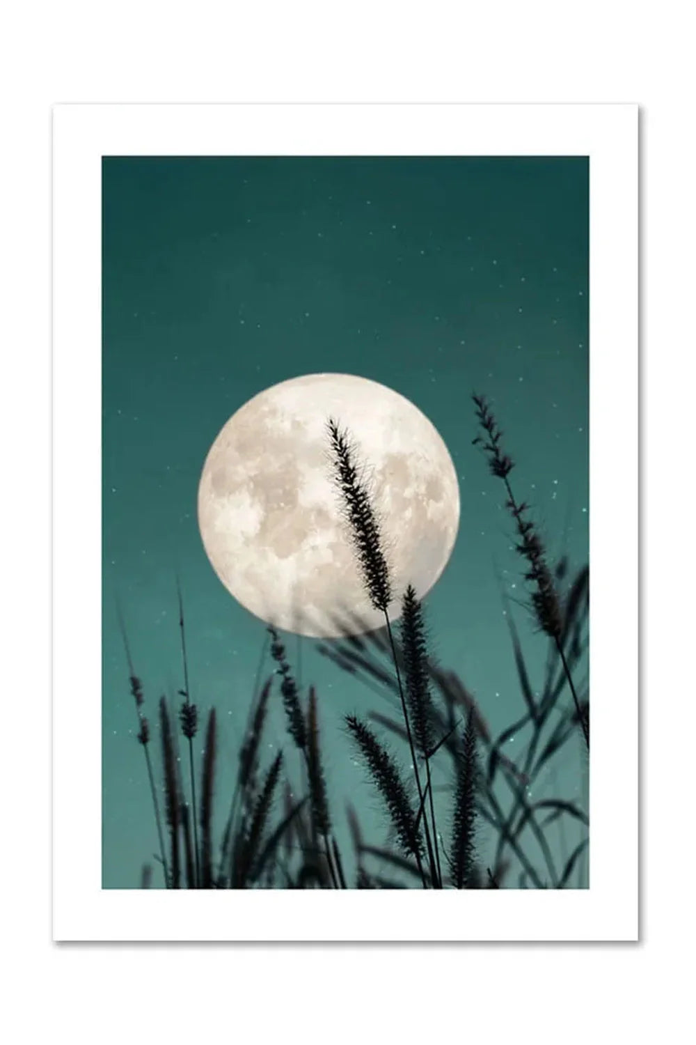 Lisslune | Canvas Poster