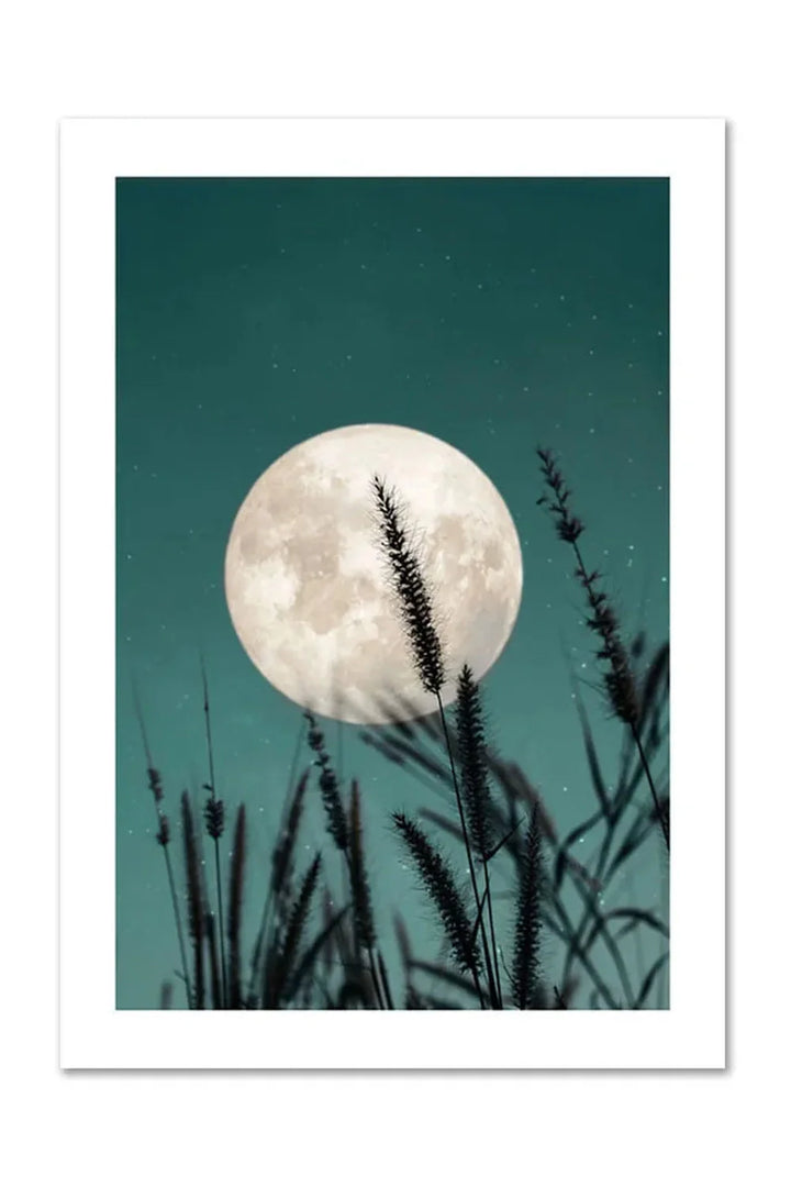 Lisslune | Canvas Poster