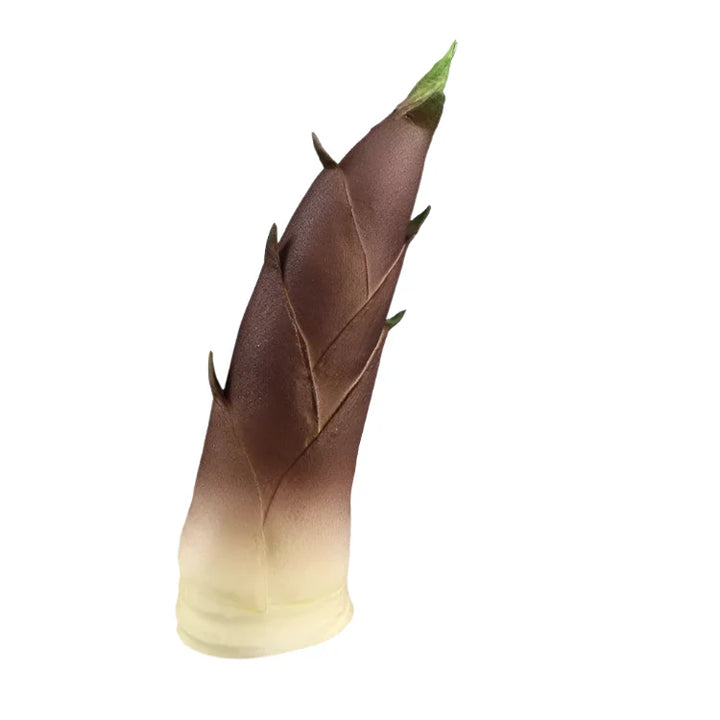 Lisslune | Elegant Synthetic Bamboo Shoot Decoration - Life-like Vegetables - Table Decoration for Home and Dining Areas