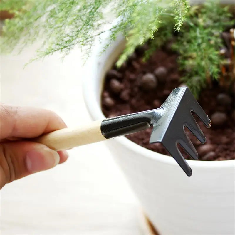 Lisslune | 3-piece garden tool set with wooden handles – Handy shovel, rake, and hoe for garden maintenance