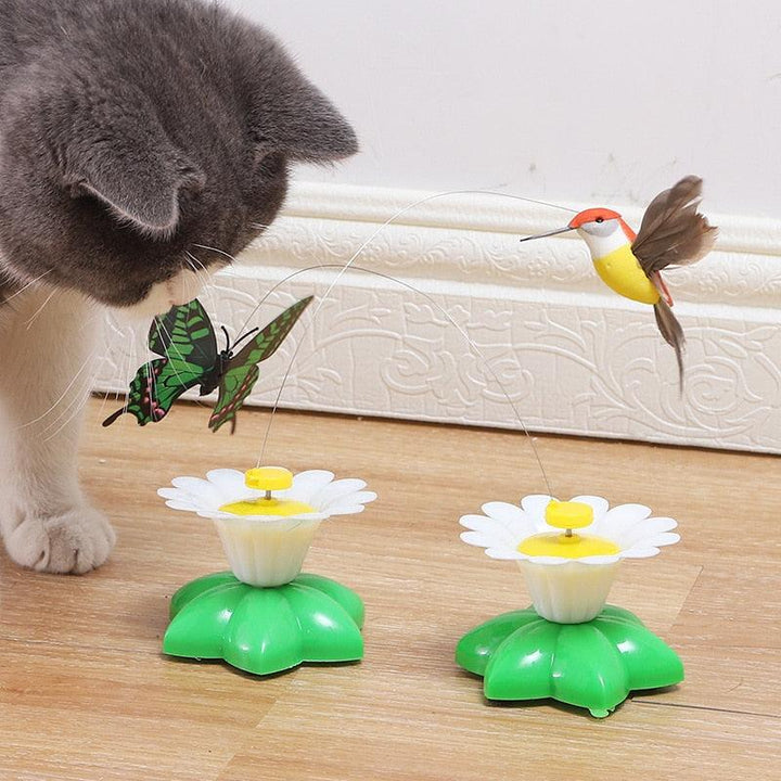 Lisslune | Electric interactive flying insect toy for cats - Engaging fun with realistic movements