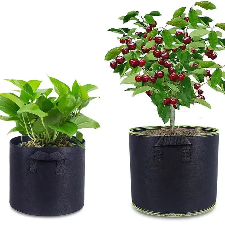 Lisslune | Planting bag made of nonwoven fabric – Robust garden container with handles for plants