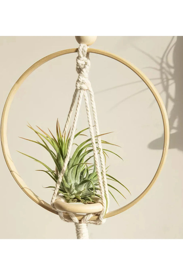 Lisslune | Macramé plant holder