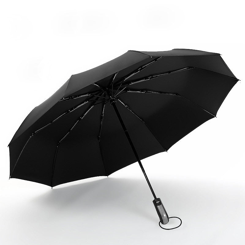 Lisslune | Windproof Anti-UV Automatic Elegant Umbrella