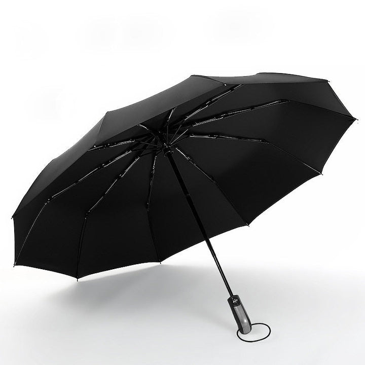 Lisslune | Windproof Anti-UV Automatic Elegant Umbrella