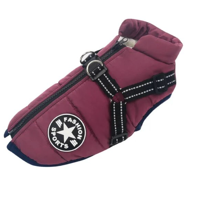Lisslune | Waterproof Dog Coat with Belly Straps – Emmaly