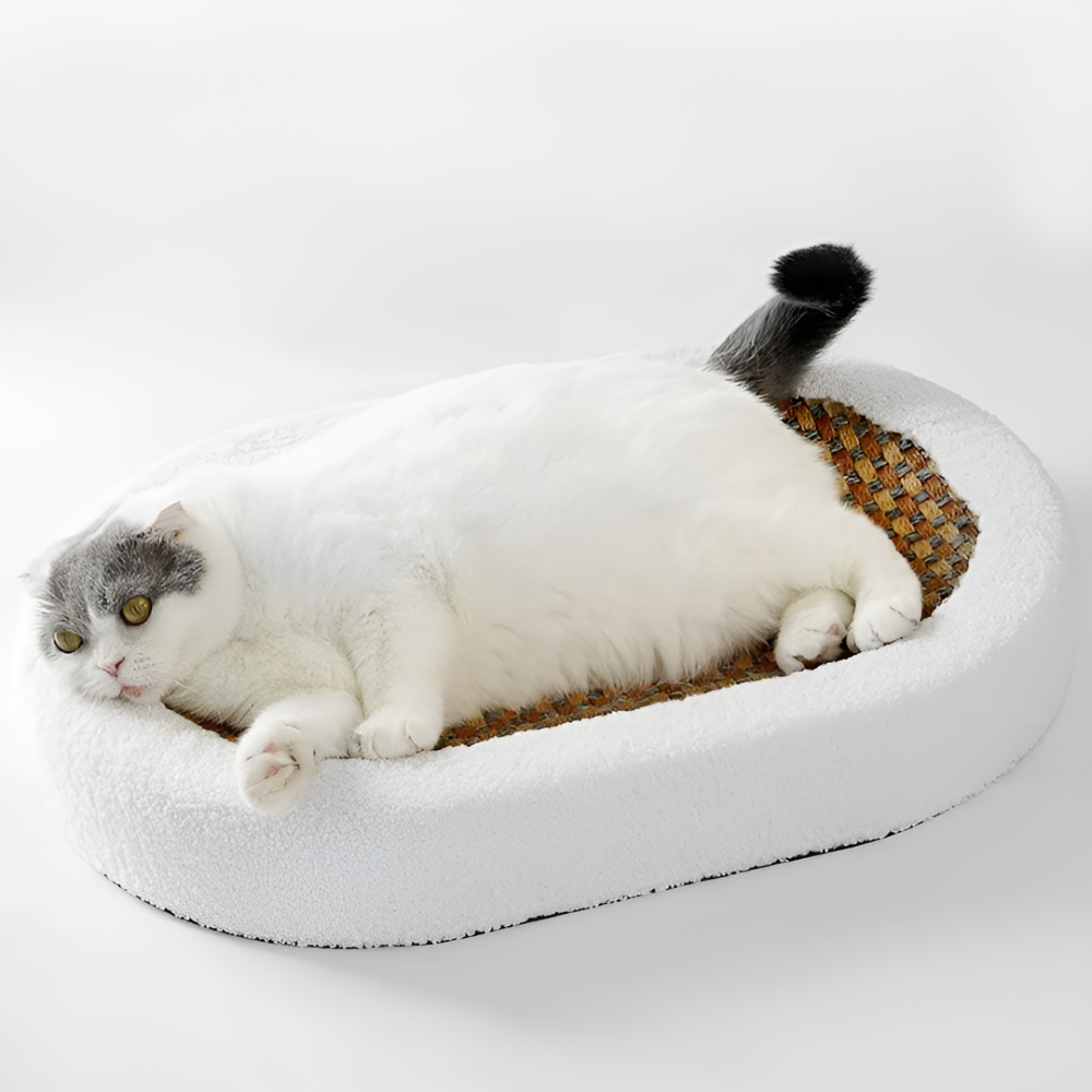 Lisslune | Luxury Cat Bed with Scratching Surface – Plush 2-in-1 Cat Furniture