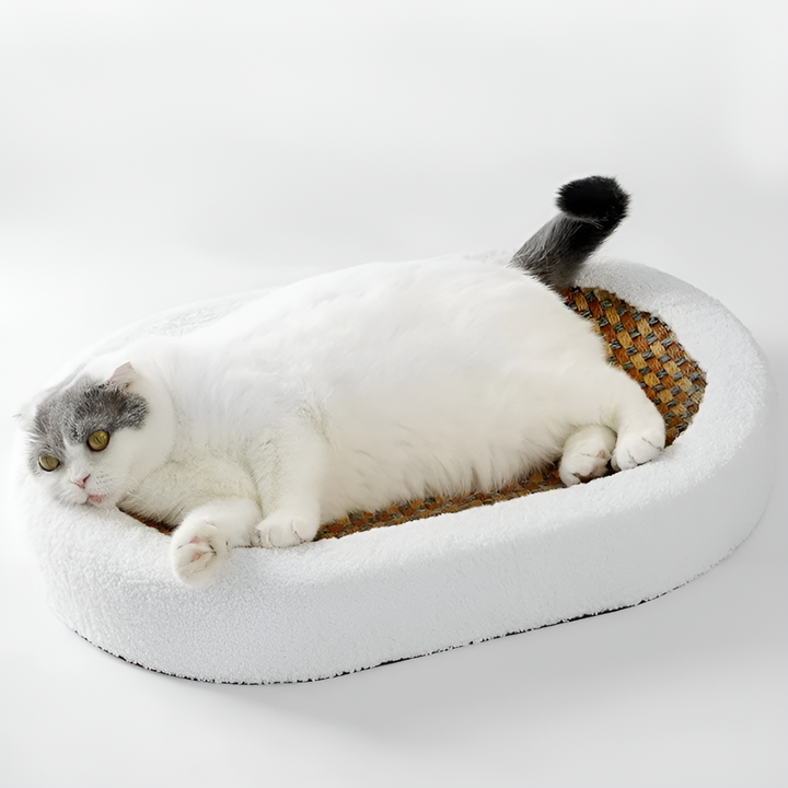 Lisslune | Luxury Cat Bed with Scratching Surface – Plush 2-in-1 Cat Furniture