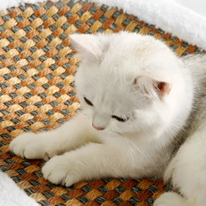 Lisslune | Luxury Cat Bed with Scratching Surface – Plush 2-in-1 Cat Furniture