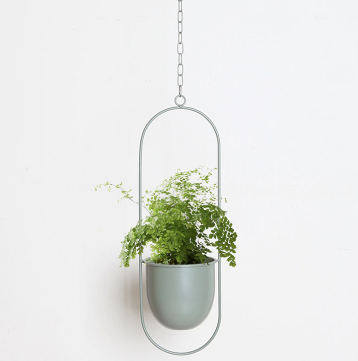 Lisslune | FloraFrame LED botanical wall art