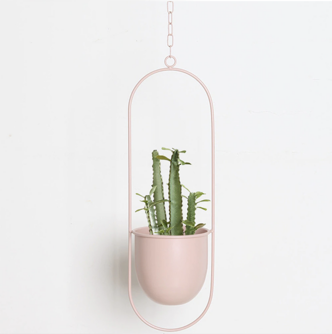 Lisslune | FloraFrame LED botanical wall art