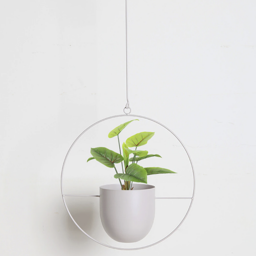 Lisslune | FloraFrame LED botanical wall art