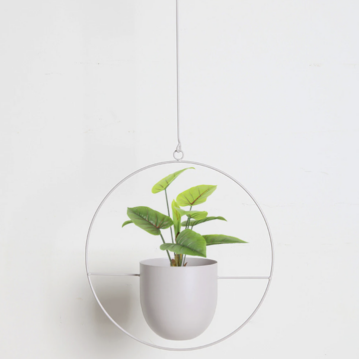 Lisslune | FloraFrame LED botanical wall art