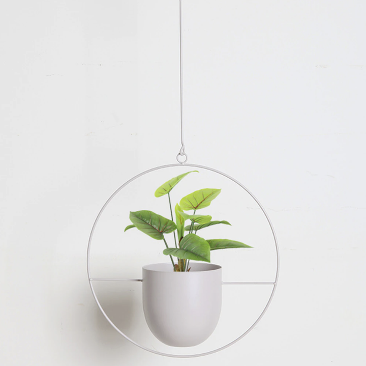 Lisslune | Wall Hanging Metal Plant Holder – FloraFrame