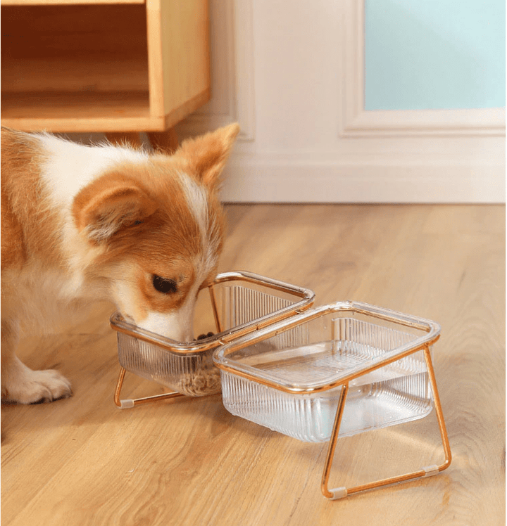 Lisslune | Elevated feeding bowl for healthy eating posture in cats & small dogs