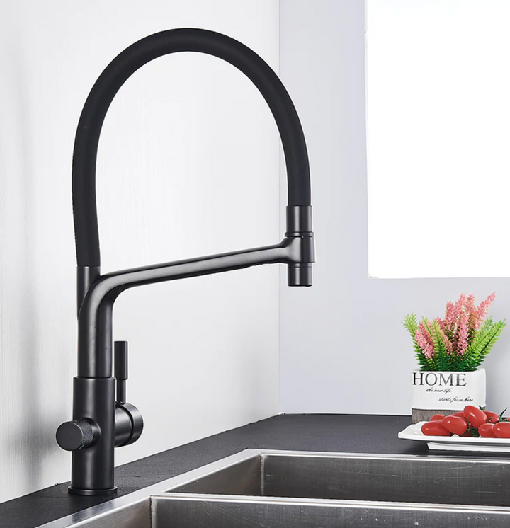 Lisslune | Double Outlet Drinking Water Faucet Filtered Kitchen Faucets