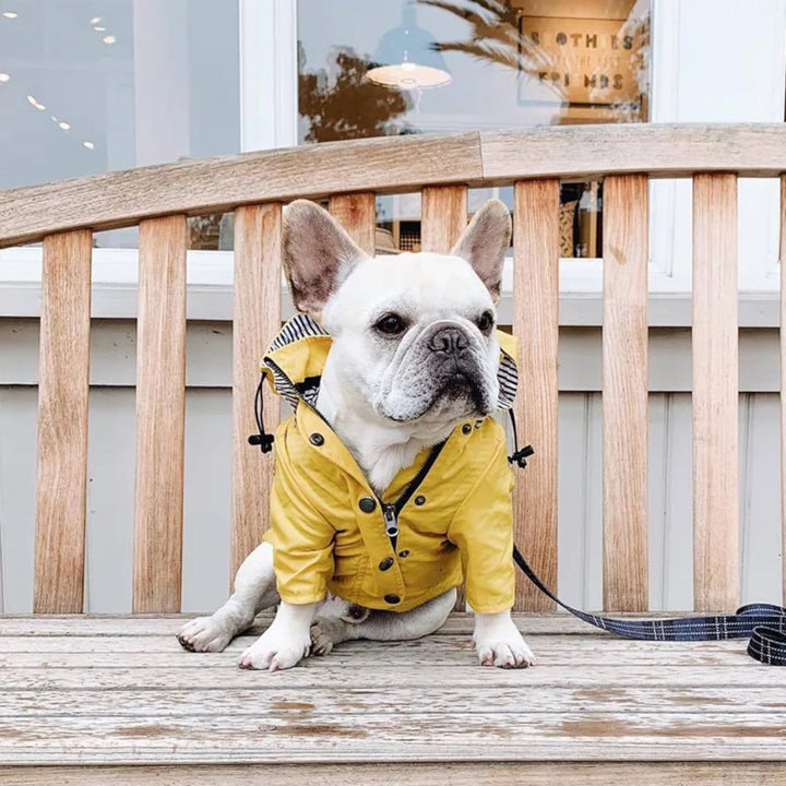 Lisslune | Rain Jacket