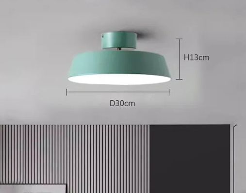 Lisslune | Adjustable LED Ceiling Light
