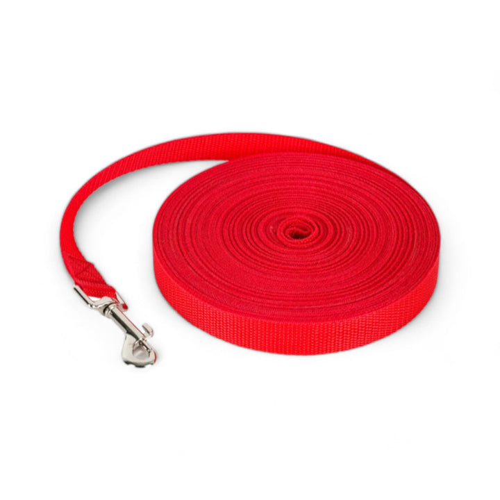 Lisslune | Dog Leash