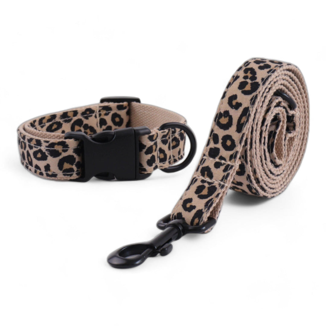 Lisslune | Style Pet-Collar-Set
