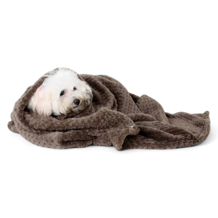 Lisslune | Pet Fleece Blanket