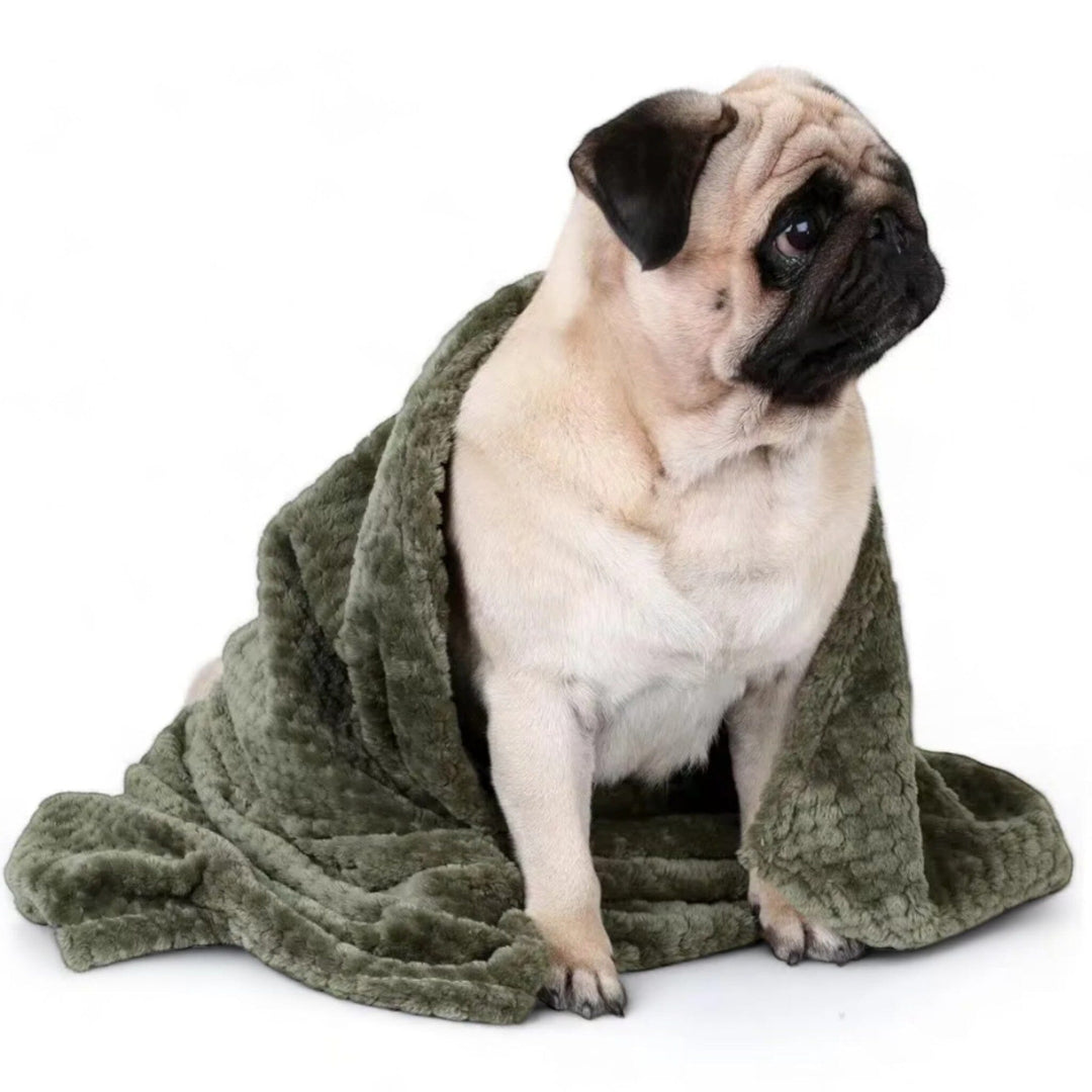 Lisslune | Pet Fleece Blanket