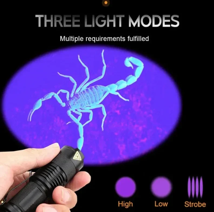 Lisslune | UV-LED flashlight – Ultraviolet light for stain detection and pet urine detection