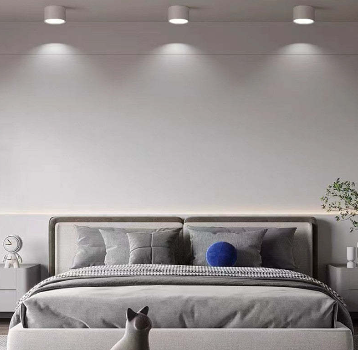 Lisslune | Morandi-inspired Modern LED ceiling lamp