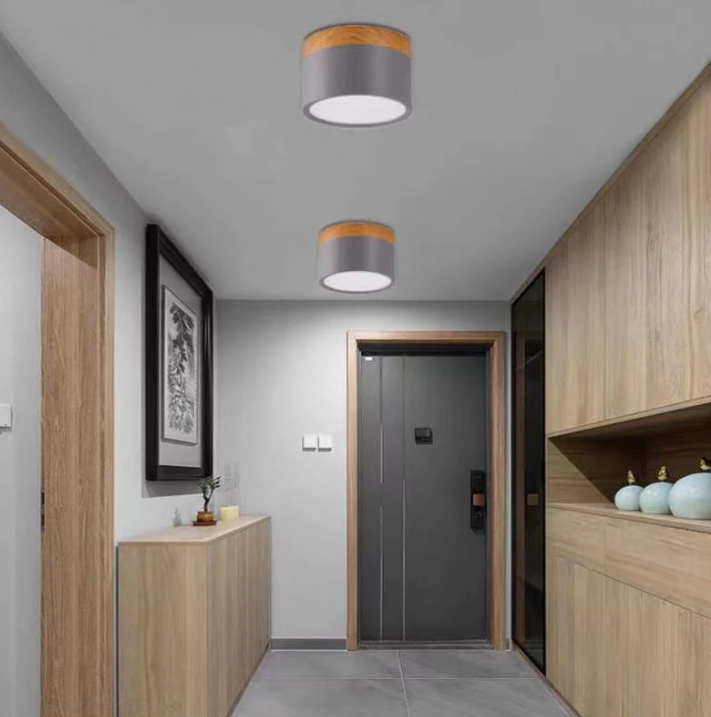 Lisslune | Morandi-inspired Modern LED ceiling lamp